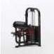 Rosca Scott Multi Sentada Pro