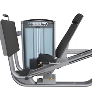 Leg Press