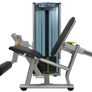 Leg Extension