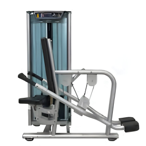 Triceps Machine