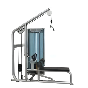 Lat Pulldown com Remada