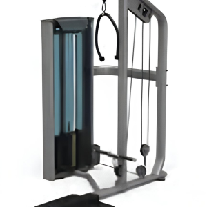 Lat Pulldown em Pé com Remada Baixa