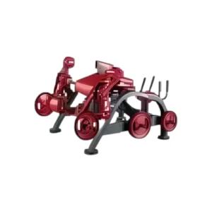 Máquina Flexão Pernas Alternada