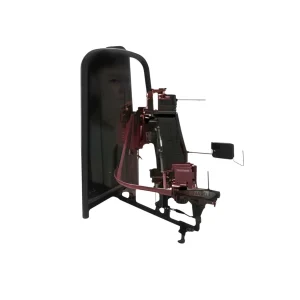 Superset Sentado Elevação Lateral e Desenvolvimento de Ombros