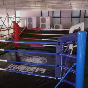 Ringue de Boxe Aterrissagem 5x5