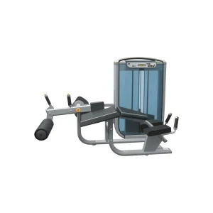 Mesa Flexora