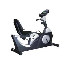Bike Reclinada