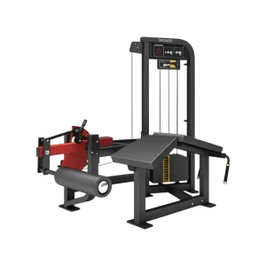 Mesa Flexora